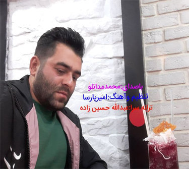 محمد مدانلو روزگار